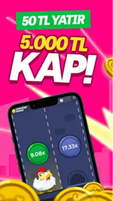 Chicken Road™ Screenshot